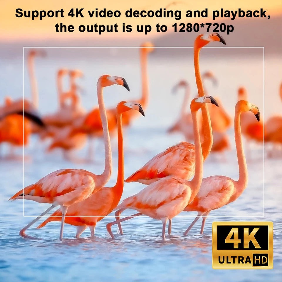 Smart Projector (New)